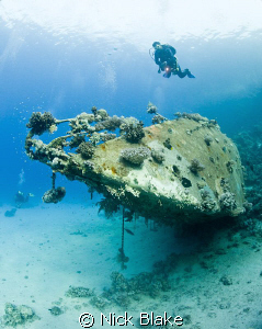 Diver over yacht wreck, Red Sea South by Nick Blake 